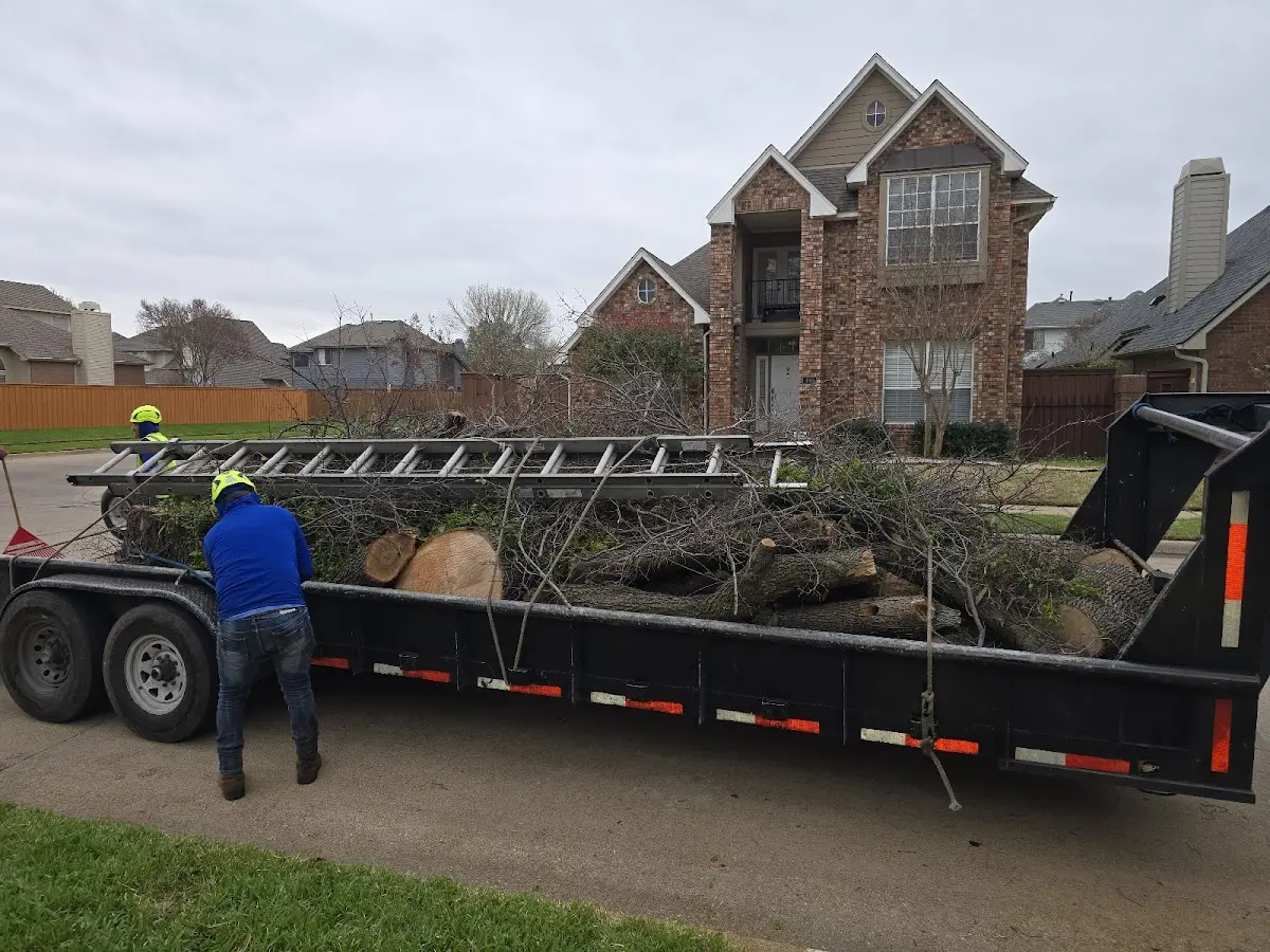 Expert Tree Fertilization with proper safety equipment in Hamlet